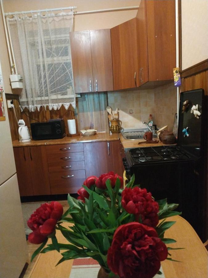 Apartment In The Center Of Old Town Kamianets-Podilskyi